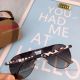 AAA Quality Copy Cartier Polarized Sunglasses Silver Frame (6)_th.jpg